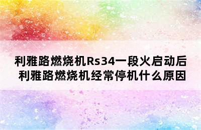 利雅路燃烧机Rs34一段火启动后 利雅路燃烧机经常停机什么原因